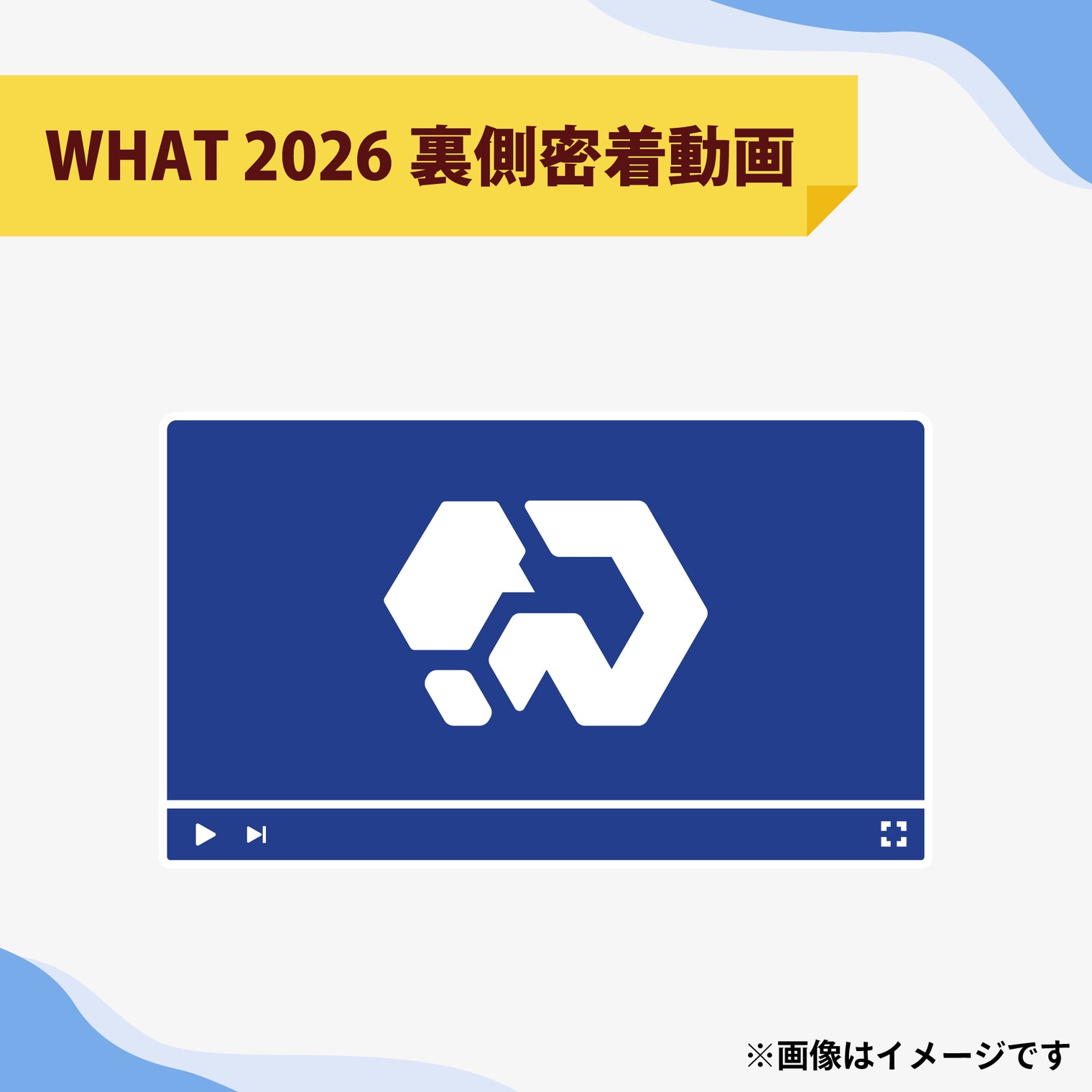 ハイスクールクイズバトル WHAT 2026 個人サポーター 【Aプラン】