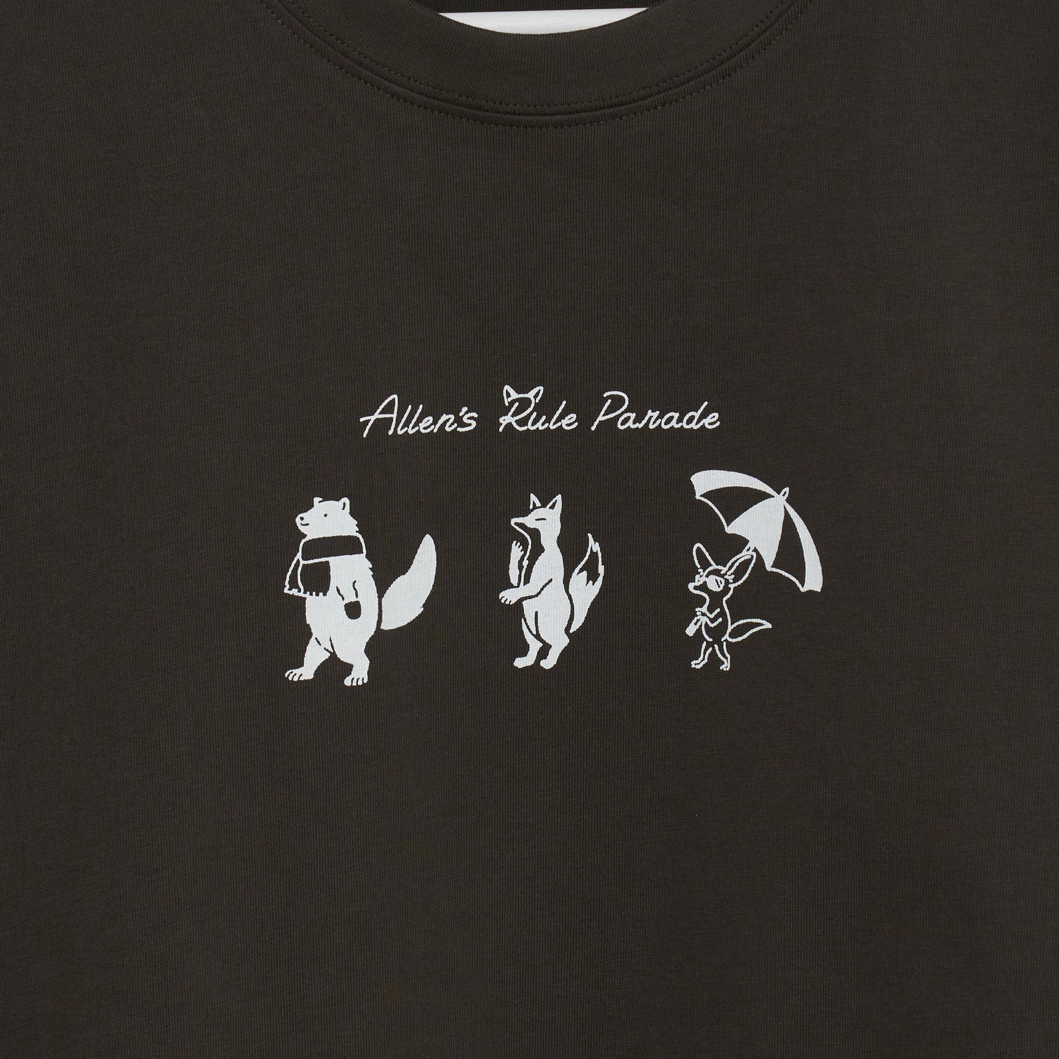 "Allen’s rule parade" Tシャツ キツネ アイボリー チャコール コーラルピンク ライトグリーン 生物学 アレンの法則 Tシャツ キツネ パレード クイズノック グッズ レディース メンズ 人気 おしゃれ 20代 30代 - QurioStore QurioStore