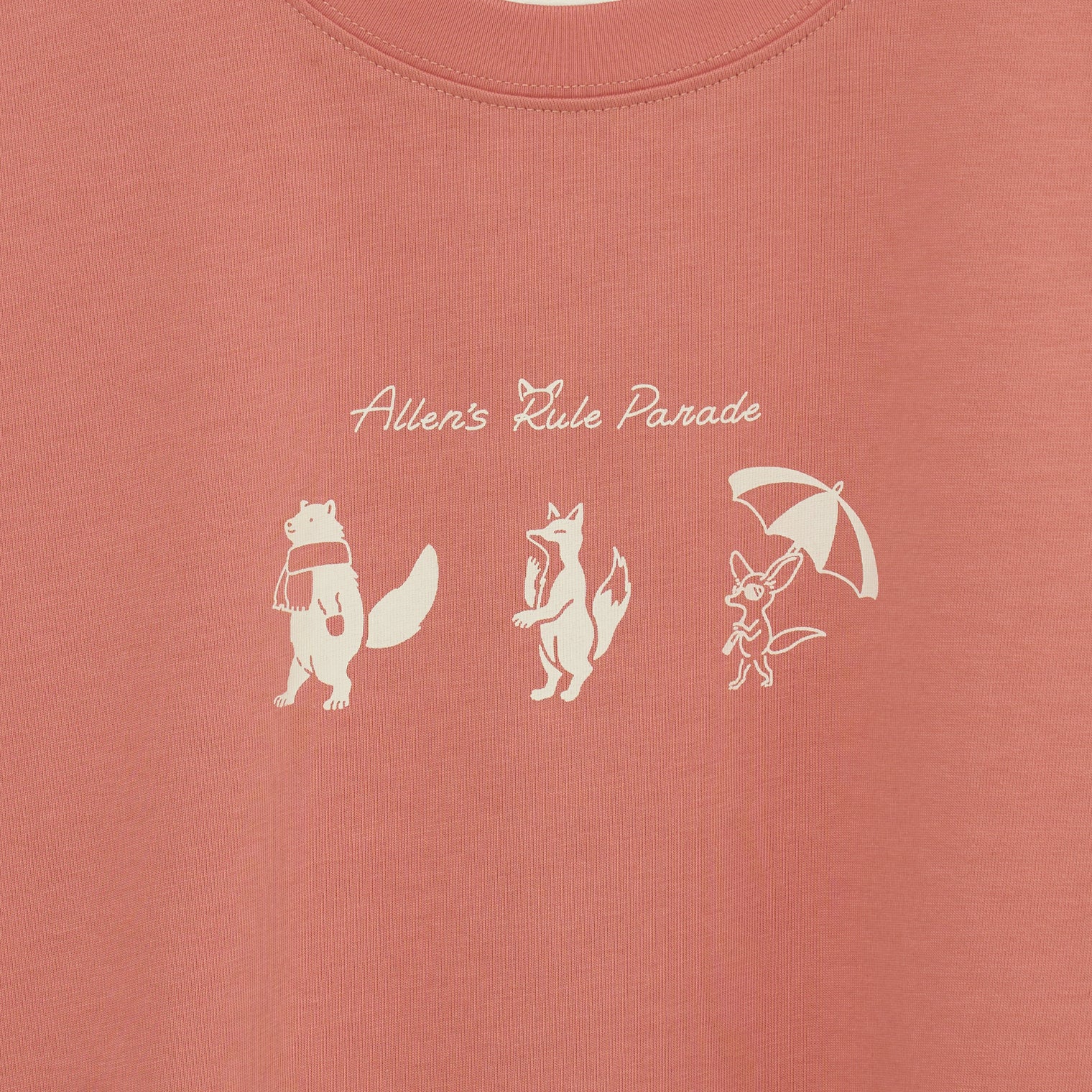 "Allen’s rule parade" Tシャツ キツネ アイボリー チャコール コーラルピンク ライトグリーン 生物学 アレンの法則 Tシャツ キツネ パレード クイズノック グッズ レディース メンズ 人気 おしゃれ 20代 30代 - QurioStore QurioStore