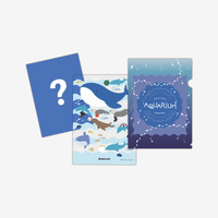 謎解き用紙付きクリアファイル-AQUARIUM- ブルー 持ち帰り謎 初心者 手軽 海の生き物 - QurioStore NazoLock