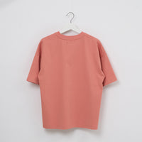 "Allen’s rule parade" Tシャツ キツネ アイボリー チャコール コーラルピンク ライトグリーン 生物学 アレンの法則 Tシャツ キツネ パレード クイズノック グッズ レディース メンズ 人気 おしゃれ 20代 30代 - QurioStore QurioStore