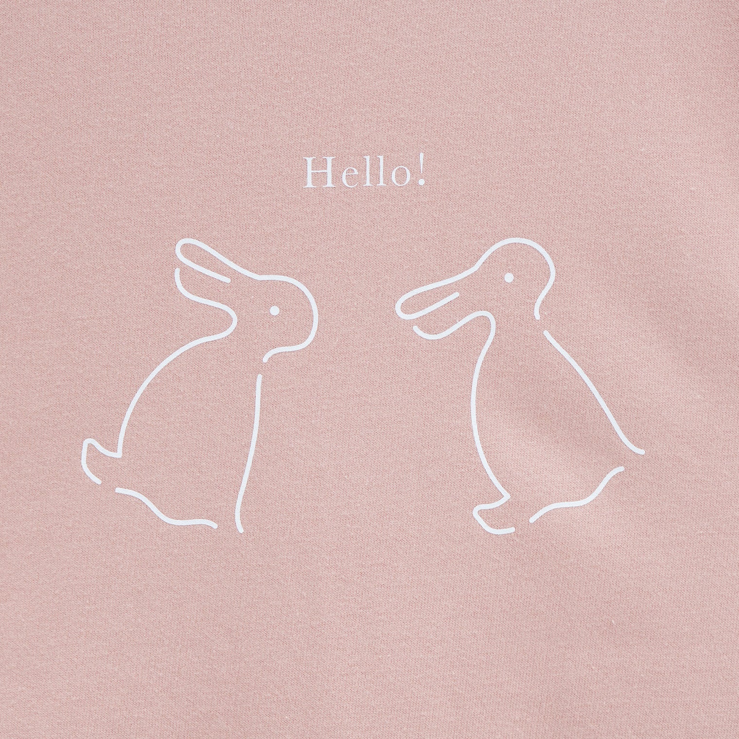 "Same?" Tシャツ ダスティピンク 哲学 多義図形 錯視 ウサギ アヒル - QurioStore QurioS