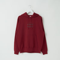 "pH" 謎解きパーカー バーガンディ チャコール 謎解き 化学 パーカー 海水 中性 酸性 秋冬 レディース メンズ 人気 おしゃれ 20代 30代 - QurioStore QurioS