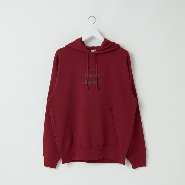 "pH" 謎解きパーカー バーガンディ チャコール 謎解き 化学 パーカー 海水 中性 酸性 秋冬 レディース メンズ 人気 おしゃれ 20代 30代 - QurioStore QurioS