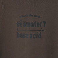 "pH" 謎解きパーカー バーガンディ チャコール 謎解き 化学 パーカー 海水 中性 酸性 秋冬 レディース メンズ 人気 おしゃれ 20代 30代 - QurioStore QurioS