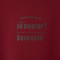 "pH" 謎解きパーカー バーガンディ チャコール 謎解き 化学 パーカー 海水 中性 酸性 秋冬 レディース メンズ 人気 おしゃれ 20代 30代 - QurioStore QurioS