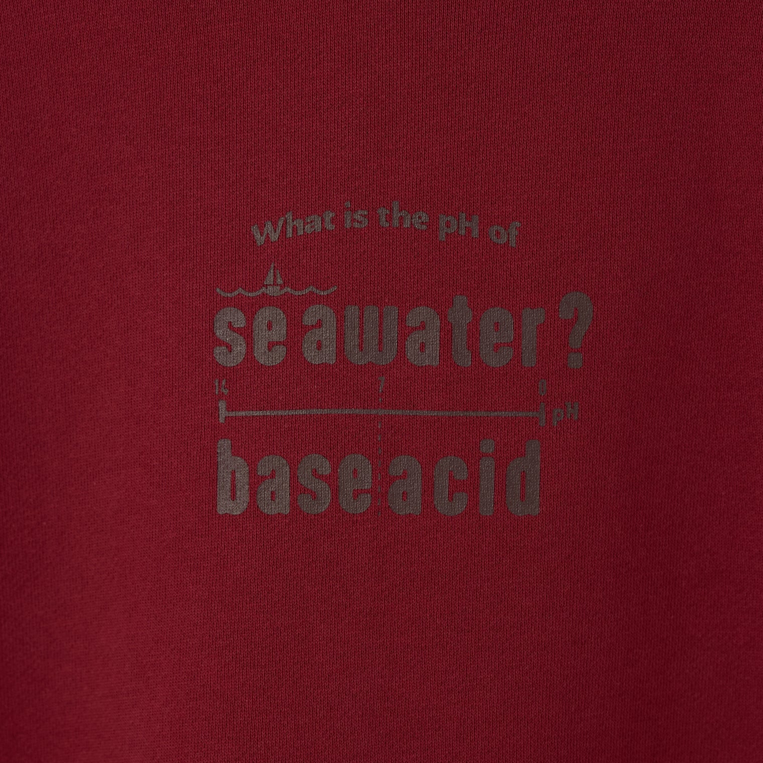 "pH" 謎解きパーカー バーガンディ チャコール 謎解き 化学 パーカー 海水 中性 酸性 秋冬 レディース メンズ 人気 おしゃれ 20代 30代 - QurioStore QurioS