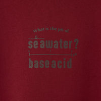 "pH" 謎解きパーカー バーガンディ チャコール 謎解き 化学 パーカー 海水 中性 酸性 秋冬 レディース メンズ 人気 おしゃれ 20代 30代 - QurioStore QurioS