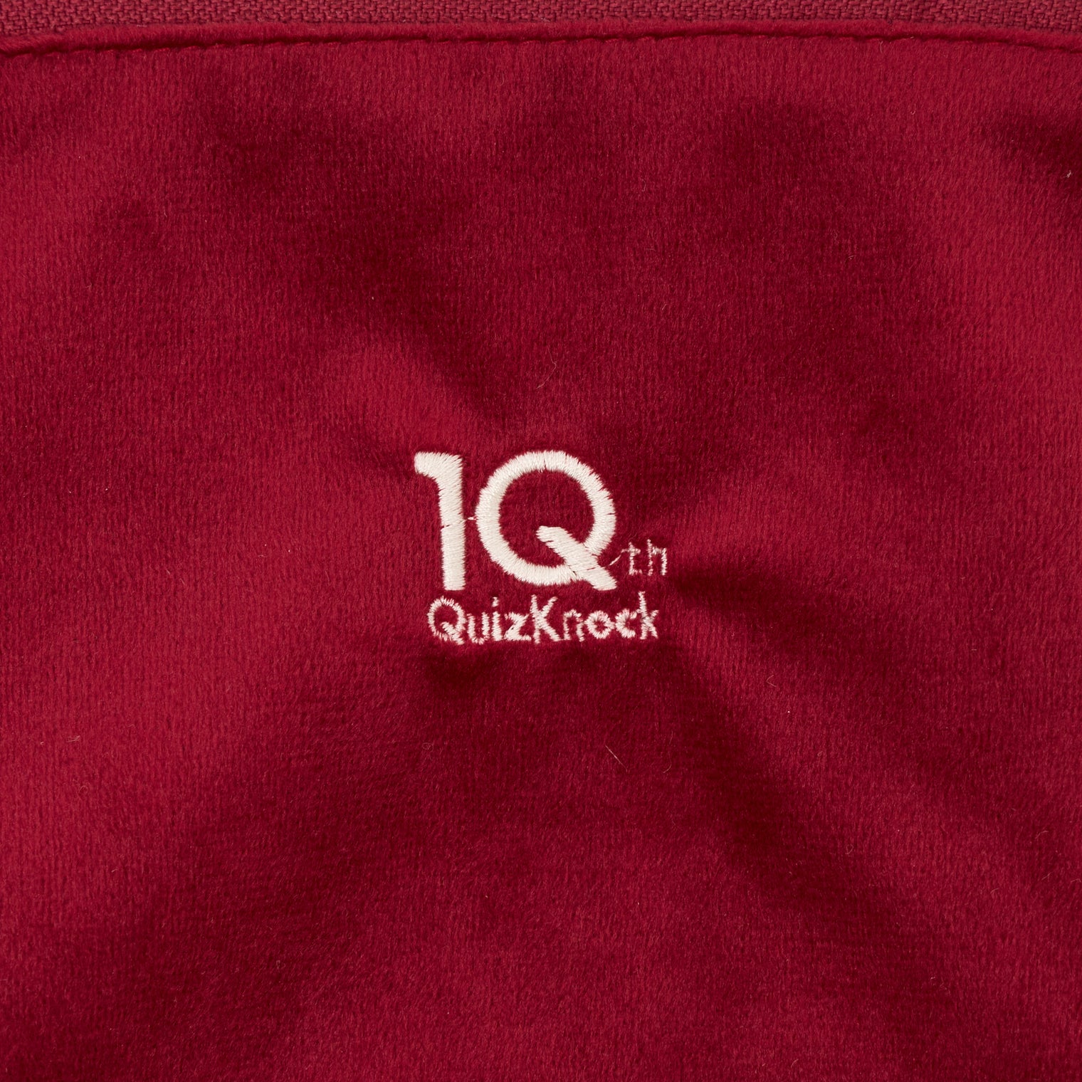"QurioS" 質量とエネルギーの等価性ベロアポーチ【QuizKnock10周年コラボ】 レッド 物理学 エネルギー ポーチ カフェ 等式 ベロア クイズノック グッズ レディース メンズ 人気 おしゃれ 20代 30代 - QurioStore QurioS